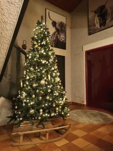 Rhodesjolie maison de campagne à 100 m de l'étang的客厅里有一棵圣诞树,