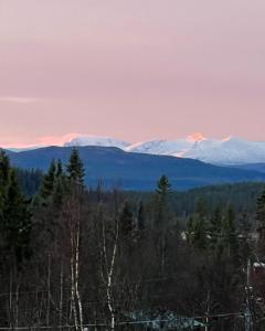 迪韦德Granlunda Fjällgård的享有远处雪覆盖的山脉美景