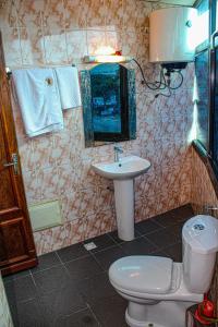 杜阿拉Residence Blue Sky的一间带卫生间和水槽的浴室