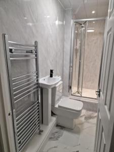 达灵顿Levy Nook 4的浴室配有卫生间、淋浴和盥洗盆。