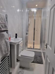 达灵顿Levy Nook 4的浴室配有卫生间、盥洗盆和淋浴。