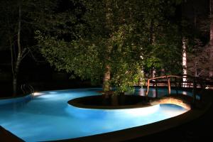 惠洛惠洛Huilo Huilo Reino Fungi的一座晚上有树的游泳池