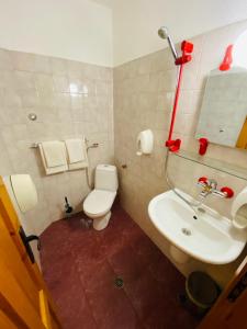 切佩拉雷萨沃夫家庭酒店的浴室配有白色卫生间和盥洗盆。