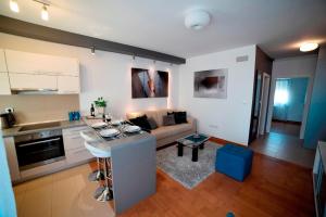 萨格勒布Zagreb Lodge Apartman 1的厨房以及带沙发的起居室。
