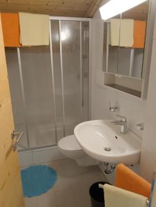 布鲁尼科Garni Hattlerhof B&B的带淋浴、盥洗盆和卫生间的浴室