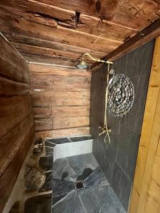 TörbelChalet La Paz with Hotpot and Sauna的配有木墙的客房内的淋浴