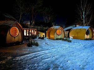 阿维莫尔阿维莫尔埃里斯凯豪华野营住宿加早餐旅馆的一群晚上在雪中 ⁇ 的三个圆顶