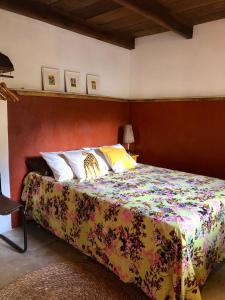 桑塔克鲁茨卡巴利亚Casa Pintassilgo mini的一间卧室配有一张带彩色床罩的床