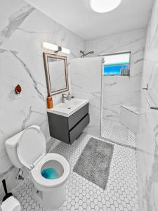 帕诺滩Tropical 2-Bedroom 1-Bath Private Key West-like Home Close To Beach的浴室配有卫生间、盥洗盆和淋浴。