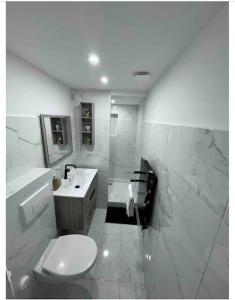 加普Appartement chaleureux en hyper centre de Gap的白色的浴室设有卫生间和水槽。