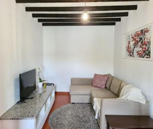 卡尔达斯达·赖尼亚Casa das Margaridas的带沙发和电视的客厅