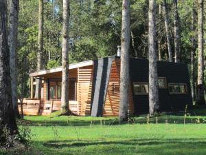 奥克泰港Los Lingues Lodge的树林里的一个小小木屋