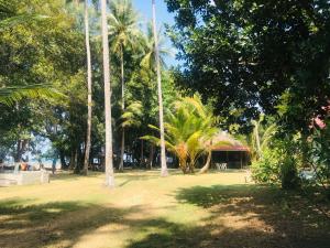 Siboya拉查日落度假酒店的棕榈树公园和后面的建筑