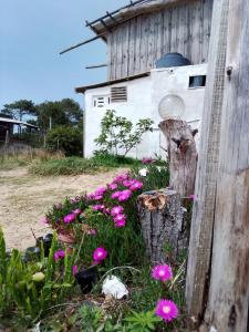 德尔迪阿布罗角Vida Playera的谷仓旁的花园,花园内种有粉红色的花朵