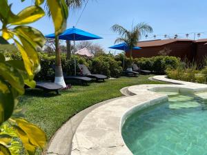 TotolapanVillarreal Lodge Hotel Ecológico的庭院内带椅子和遮阳伞的游泳池