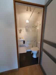 Logement 'la Hulotte'-10 min d'Auxerre-2h de Paris的一间带卫生间和淋浴的小浴室