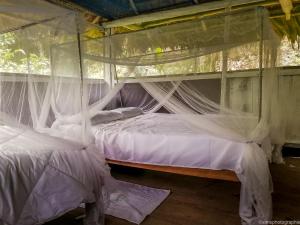 伊基托斯MALOKA LODGE的一间卧室配有两张带蚊帐的床