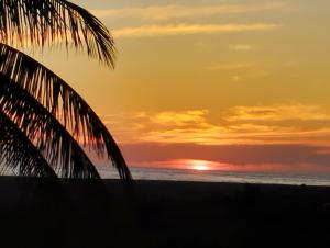 埃斯孔迪多港CasaPiedra的棕榈树海滩上的日落