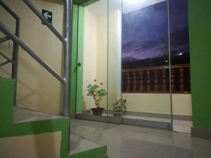 查查波亚斯Hostal Kollarón的一间有窗户的房间,里面装有盆栽植物