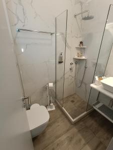 帕罗奇亚Cyclades Studios的带淋浴、卫生间和盥洗盆的浴室