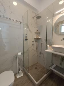 帕罗奇亚Cyclades Studios的带淋浴、卫生间和盥洗盆的浴室