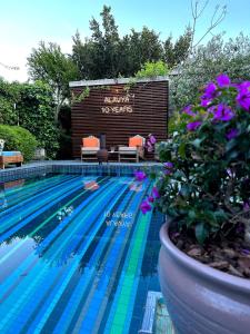 阿拉恰特奥拉夫亚酒店的一个有标志的游泳池,上面写着新年《纳瓦戈》