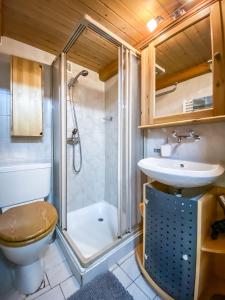 劳特布龙嫩Chalet Elza的带淋浴、卫生间和盥洗盆的浴室