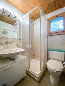 劳特布龙嫩Chalet Elza的带淋浴、卫生间和盥洗盆的浴室