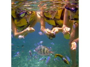 宇流麻Hotel Hamahigashima Resort - Vacation STAY 10570v的两个人穿着泳衣,看着水里的鱼