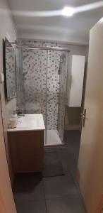 卡列塔Pedreira apartment的带淋浴和白色盥洗盆的浴室