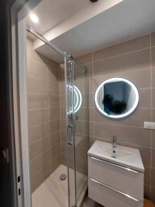 维勒班Apt Lyon Flachet的带淋浴、盥洗盆和镜子的浴室