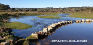 Complejo Rural Dehesa de Ituero的田野上一座河上的桥梁