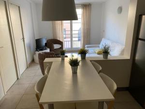 波克罗勒岛Appartement climatisé 50m2 centre du village的客厅里摆放着植物的白色桌子