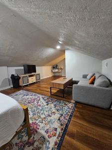 拉斐特Clinton Studio的带沙发和地毯的客厅
