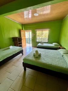 蒙特苏马Hotel Ticozuma的一间设有三张床的卧室,位于带绿色墙壁的房间