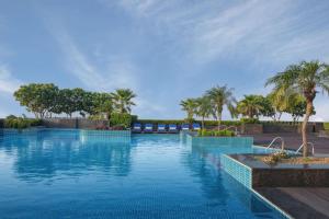 新德里新德里德瓦卡丽笙酒店的一座拥有蓝色海水和棕榈树的游泳池
