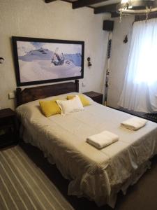 圣卡洛斯-德巴里洛切El Molino的一间卧室配有一张大床和两条毛巾