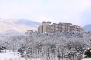 原州市Oak Valley Resort的雪中的一个度假胜地,有树木和建筑