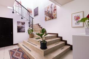 圣何塞Viva Guest House的一座有盆栽植物的房子里的楼梯