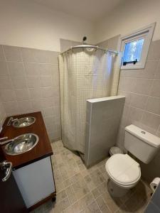 埃尔卡拉法特La Colmena Aparts的浴室配有卫生间、盥洗盆和淋浴。