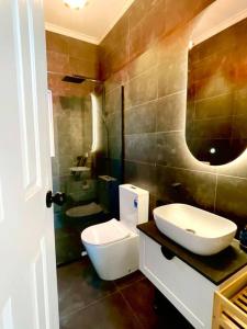 霍巴特Luxury Hobart City Fringe Home的一间带卫生间、水槽和镜子的浴室