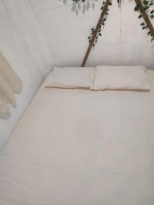 CalataganBeach Front Calatagan Apartelle的一张带两个枕头的白色床