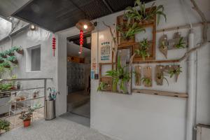 嘉义市仲青行旅嘉义馆的墙上有盆栽植物的房间
