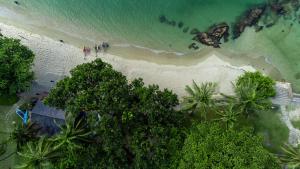 秾莎图瑞海滩假日酒店的享有树木繁茂的海滩和大海的上方景色