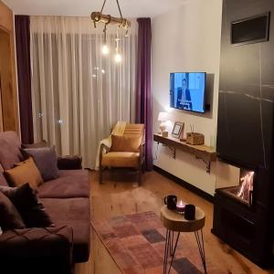 别拉什尼察Winter Park Residence Bjelasnica的带沙发和壁炉的客厅