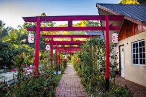 仙本那Timba Garden FREE TOWN AND JETTY TRANSPORT的鲜花建筑前的红色门