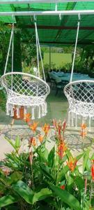 圣路易斯Camping D'Tente Paradise的两把白色椅子挂在鲜花盛开的庭院里