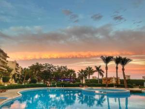 沙姆沙伊赫Chez Sam的一座棕榈树和日落的大型游泳池