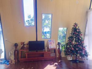 Ấp Thiện LậpMộc Hoa Viên的客厅配有圣诞树和电视