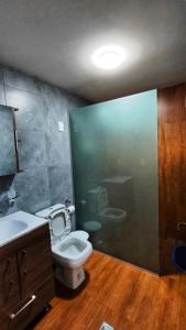 苏克雷Guest House in Sucre的一间带卫生间和水槽的浴室